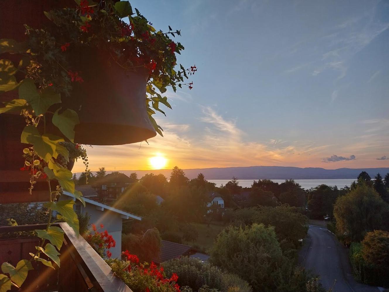 Le Chalet Des 3 Ours Neuvecelle Eksteriør bilde
